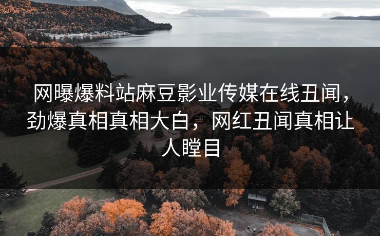 网曝爆料站麻豆影业传媒在线丑闻，劲爆真相真相大白，网红丑闻真相让人瞠目