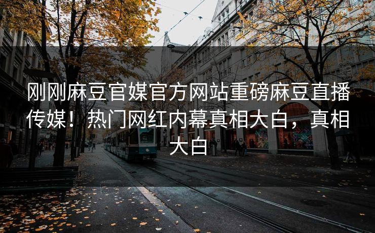 刚刚麻豆官媒官方网站重磅麻豆直播传媒！热门网红内幕真相大白，真相大白